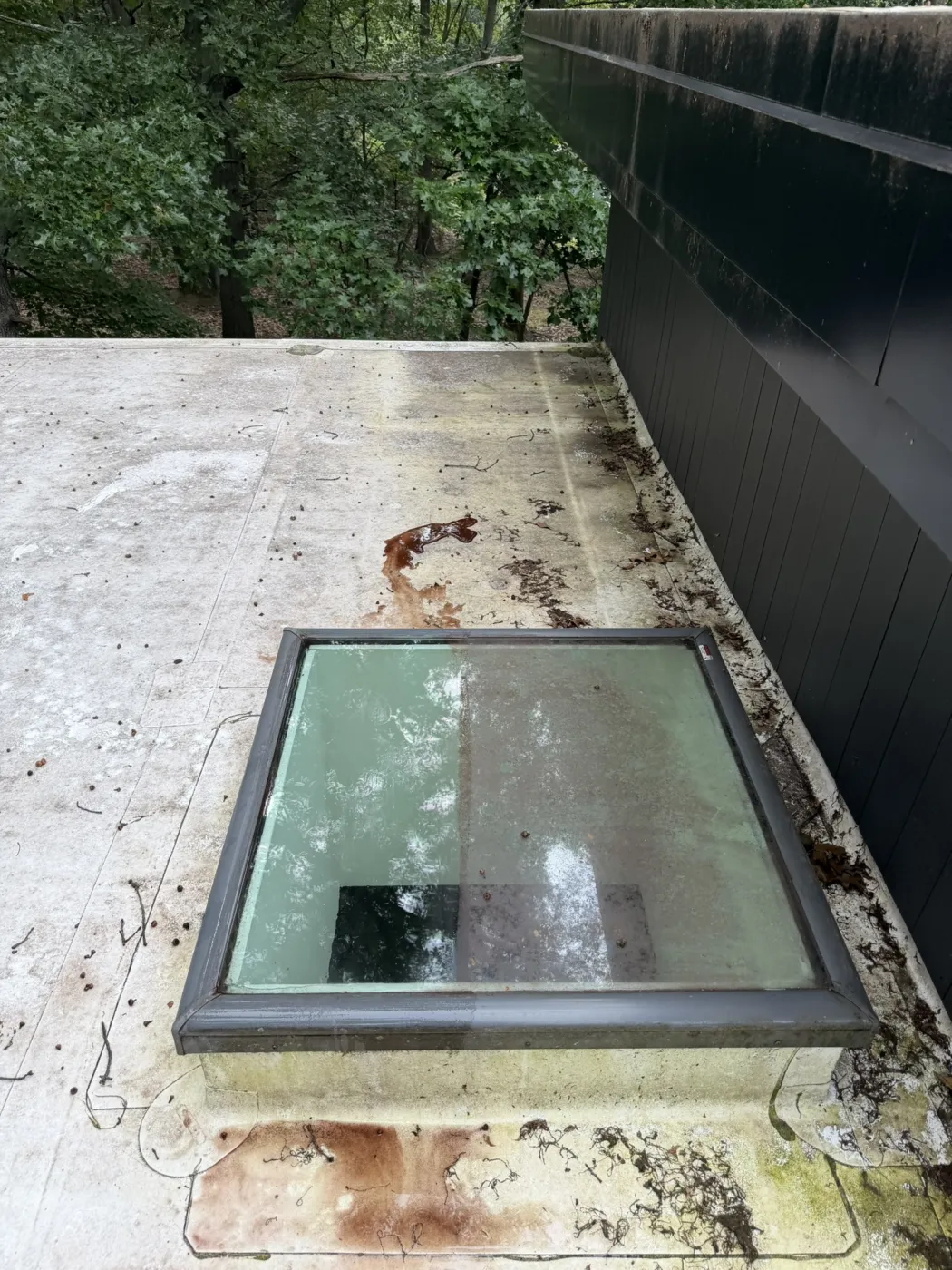 Skylight glass cleaned to a spotless streak-free finish